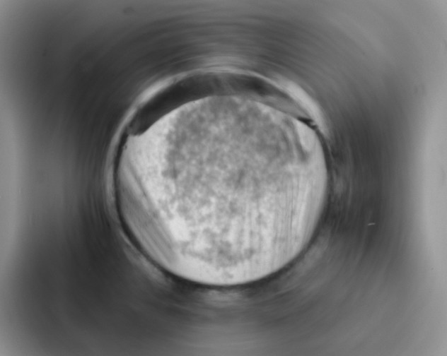 X0000086941384200705141753