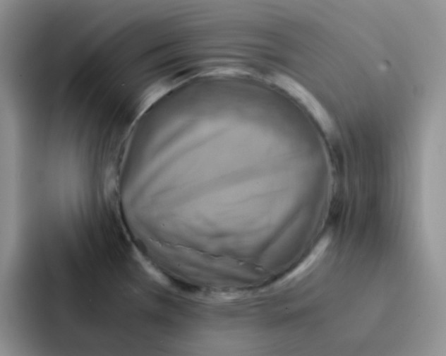 X0000086941385200705141753