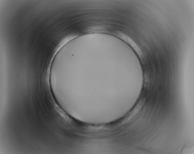 X0000086941386200705141753