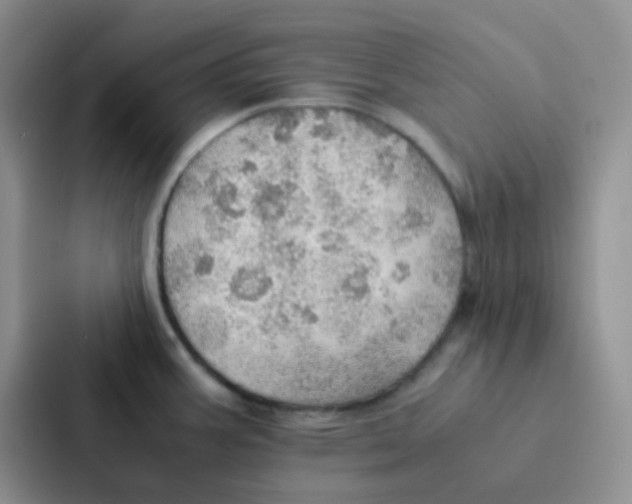 X0000086941387200705141753