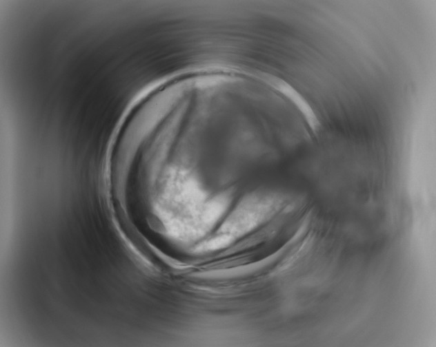 X0000086941388200705141753