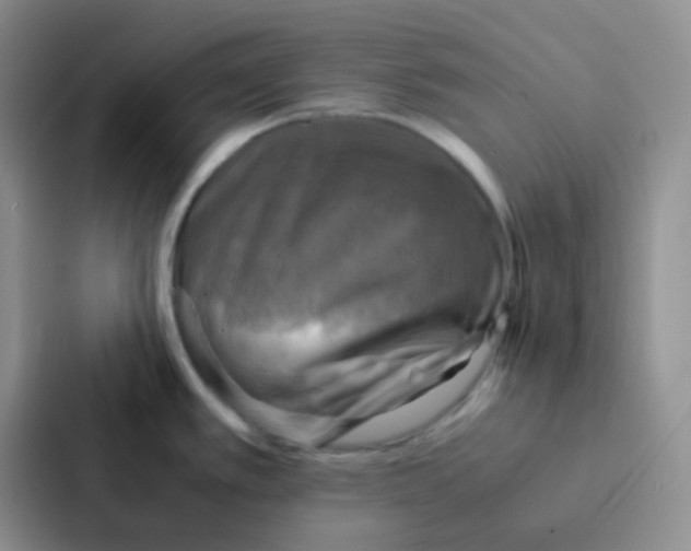 X0000086941389200705141753