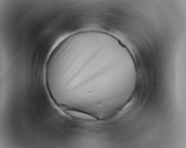 X0000086941390200705141753