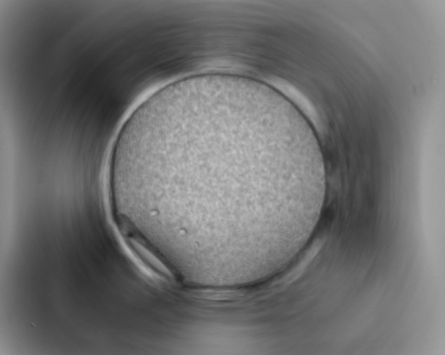 X0000086941391200705141753