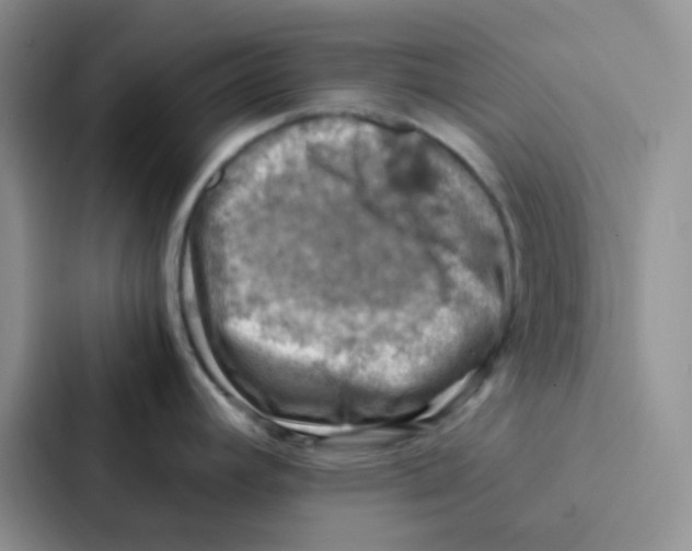 X0000086941392200705141753