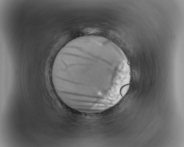 X0000086941393200705141753