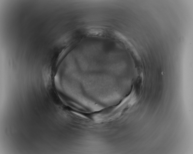 X0000086941394200705141753