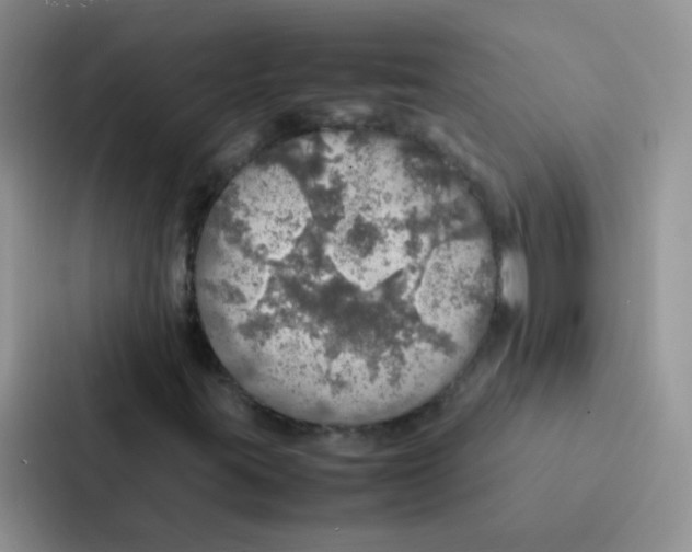 X0000086941395200705141753