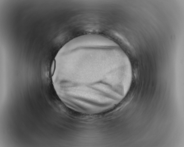 X0000086941396200705141753