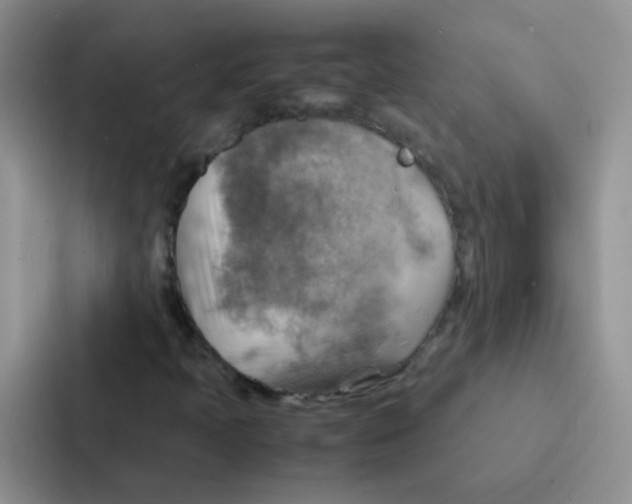 X0000086941397200705141753