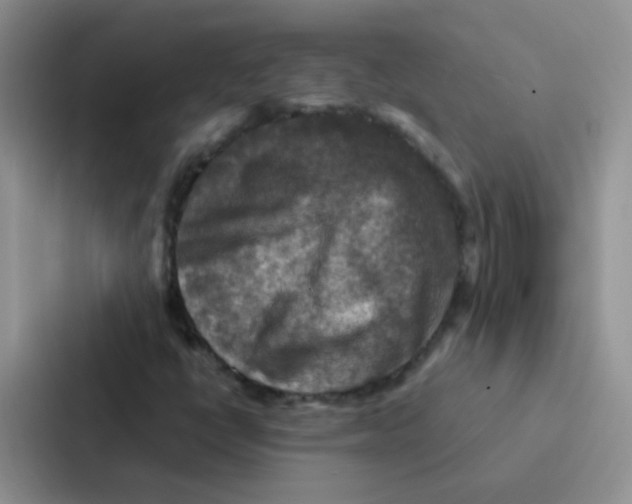 X0000086941398200705141753