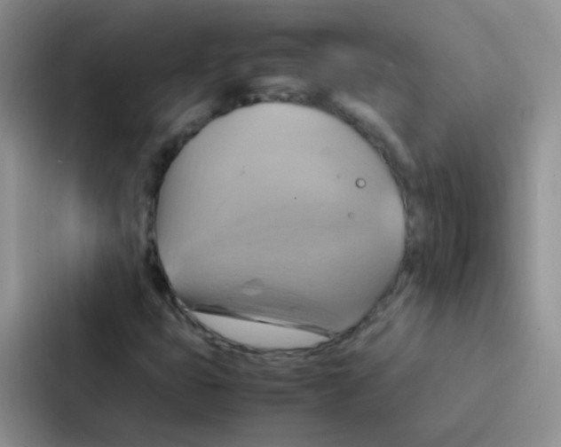 X0000086941399200705141753