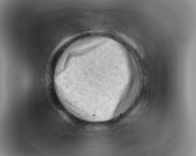 X0000086941400200705141753