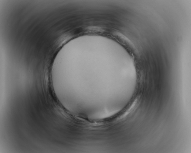 X0000086941401200705141753