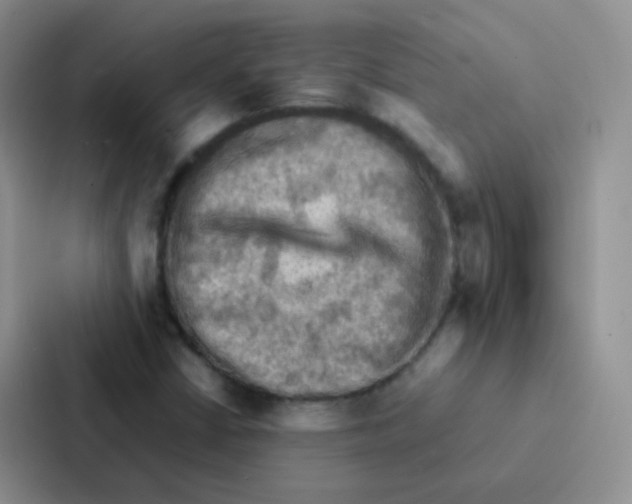 X0000086941402200705141753