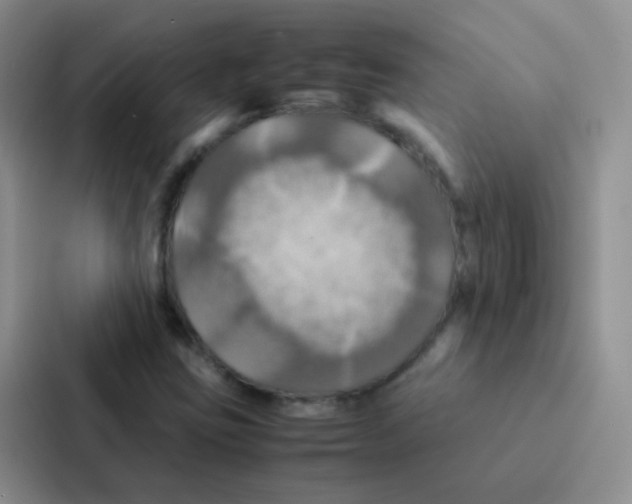 X0000086941403200705141753