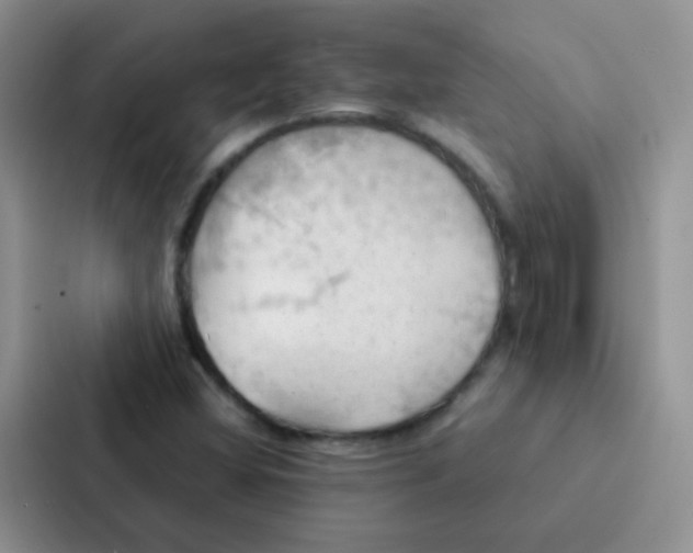 X0000086941404200705141753