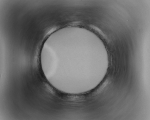 X0000086941405200705141753