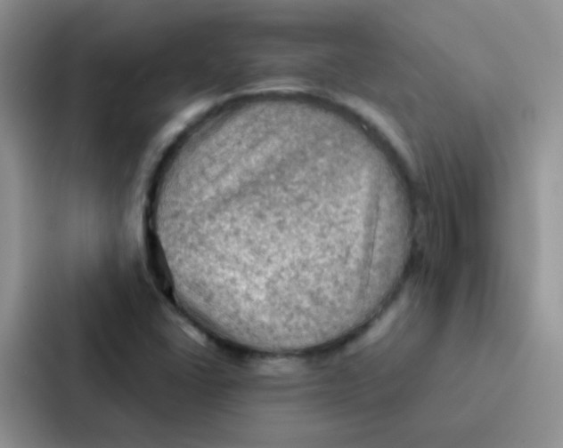 X0000086941406200705141753