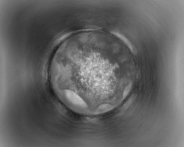 X0000086941407200705141753