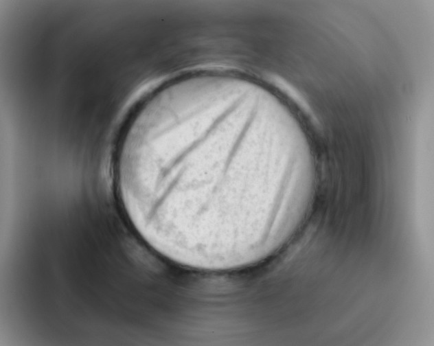 X0000086941408200705141753