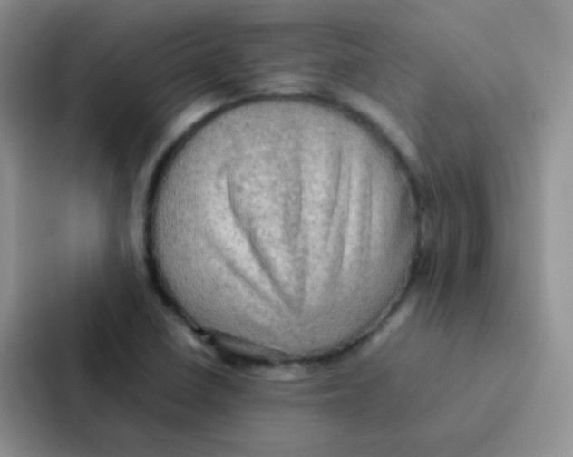 X0000086941410200705141753