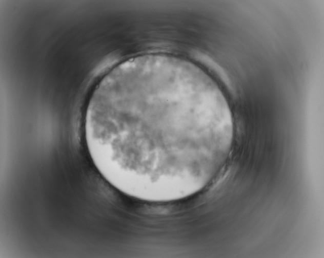 X0000086941411200705141753