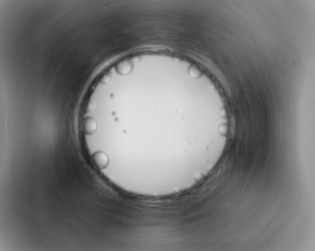 X0000086941412200705141753