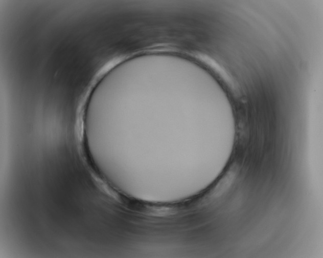 X0000086941413200705141753