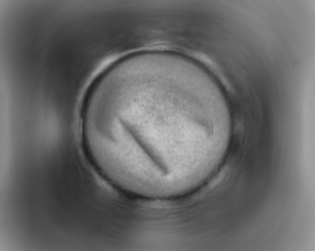 X0000086941414200705141753