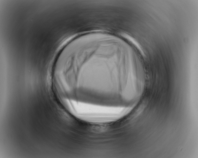 X0000086941415200705141753