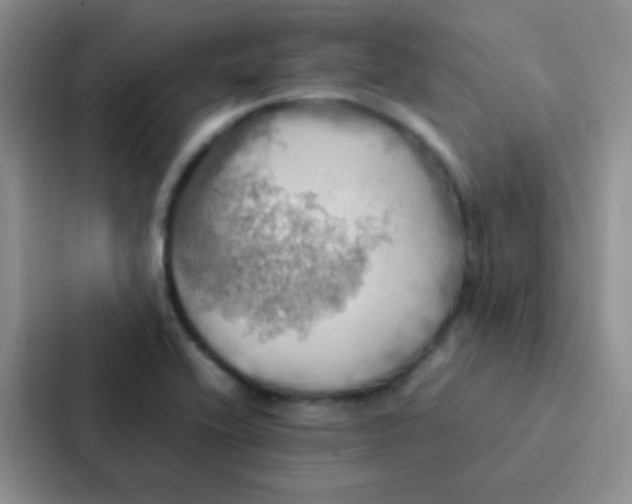 X0000086941416200705141753