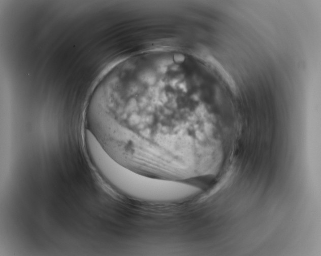 X0000086941417200705141753