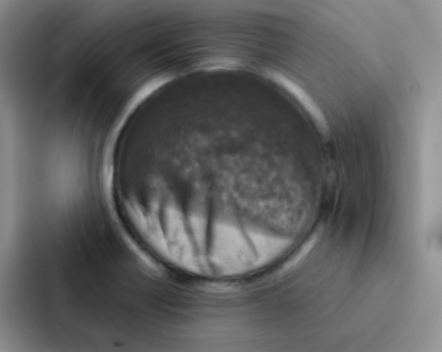 X0000086941418200705141753