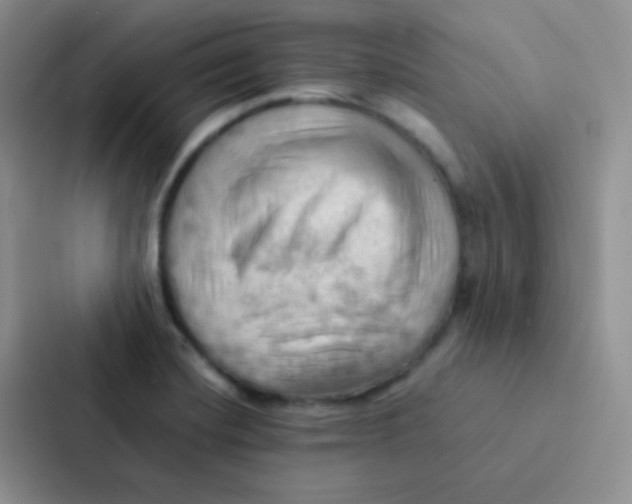 X0000086941420200705141753