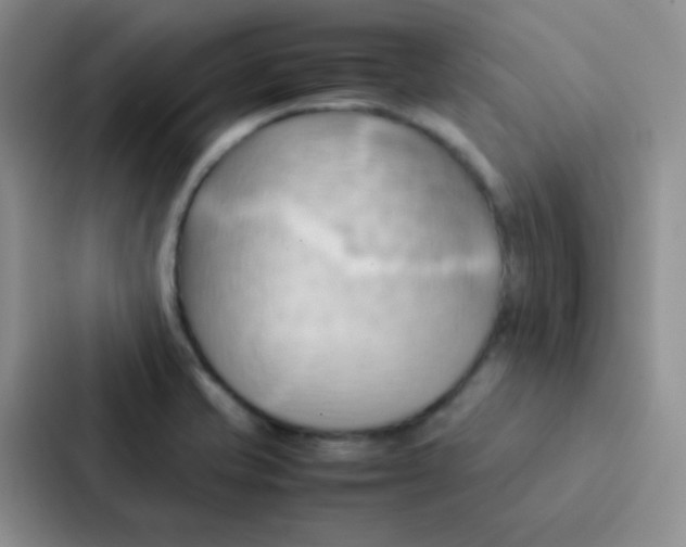 X0000086941421200705141753