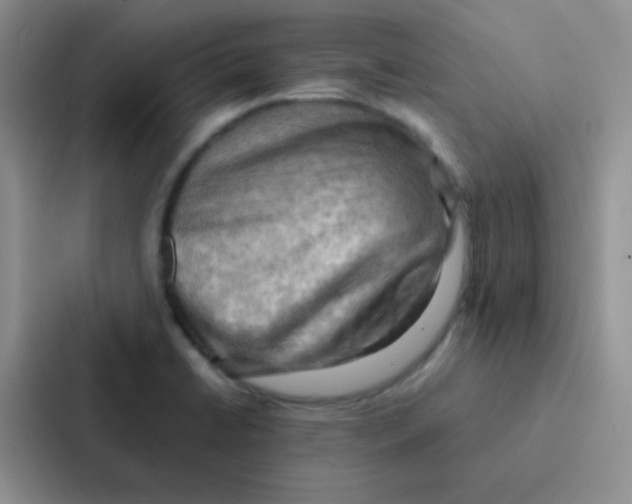 X0000086941422200705141753