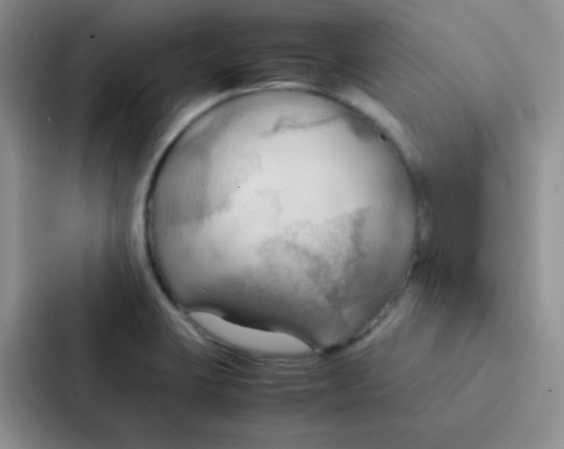 X0000086941423200705141753