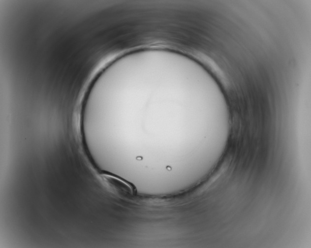 X0000086941424200705141753