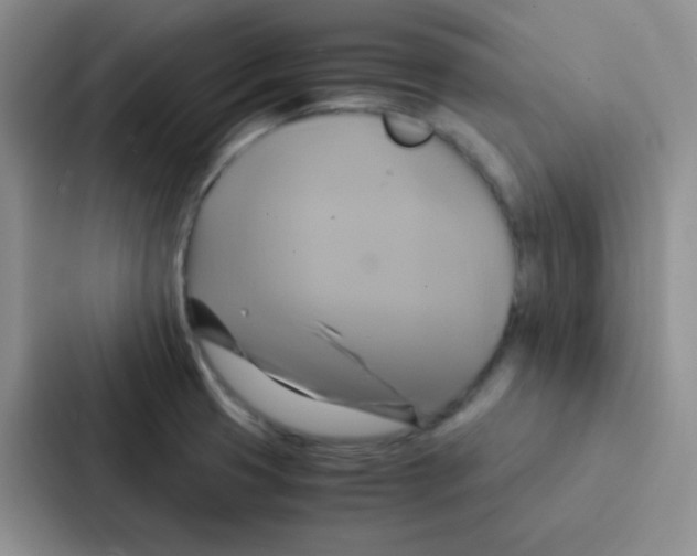 X0000086941425200705141753