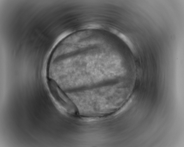 X0000086941426200705141753