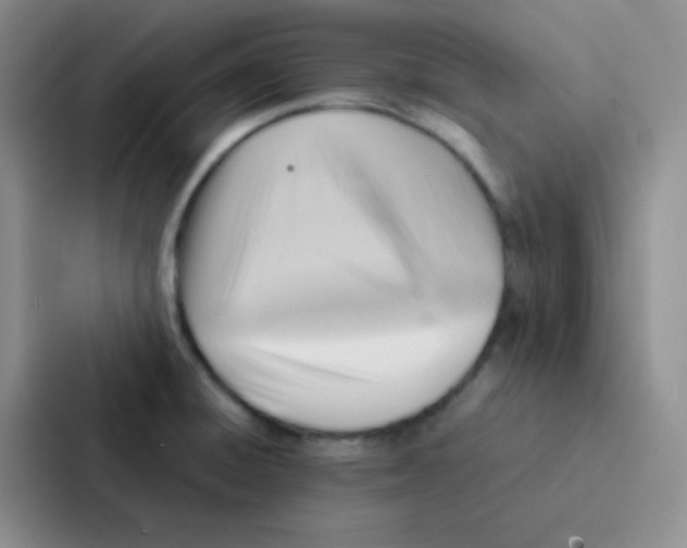 X0000086941428200705141753