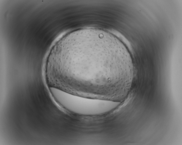 X0000086941429200705141753