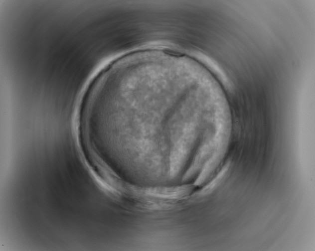 X0000086941430200705141753