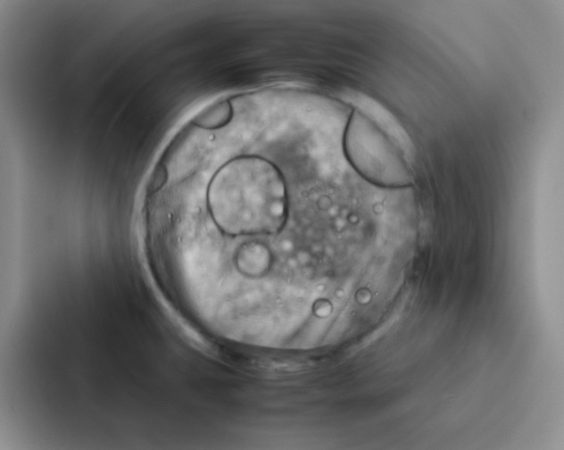 X0000086941431200705141753