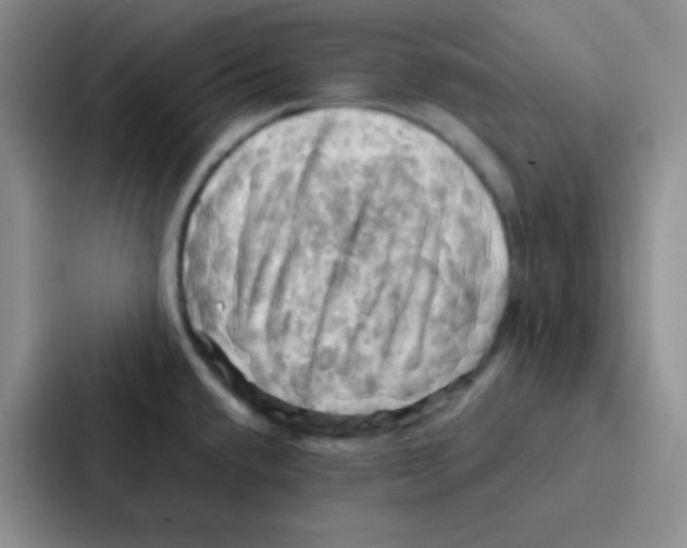 X0000086941432200705141753