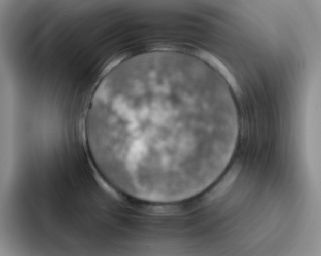 X0000086941433200705141753