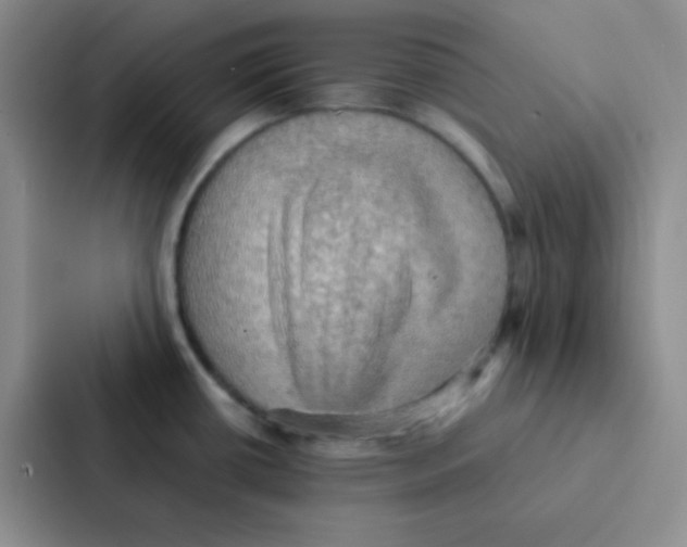 X0000086941434200705141753