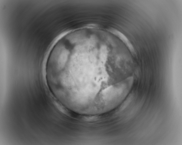 X0000086941435200705141753