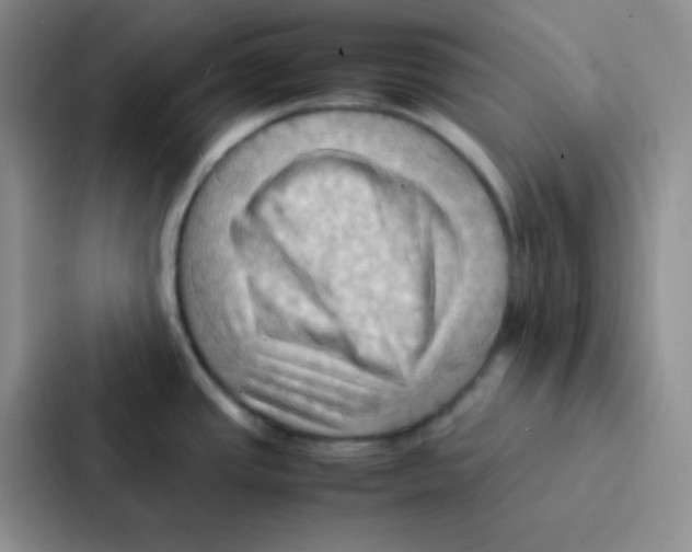 X0000086941437200705141753